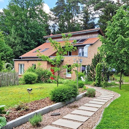 Wohnung Adlerhorst In Eversen-Heide ภายนอก รูปภาพ
